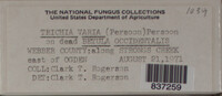 Image Associated With the Occurence